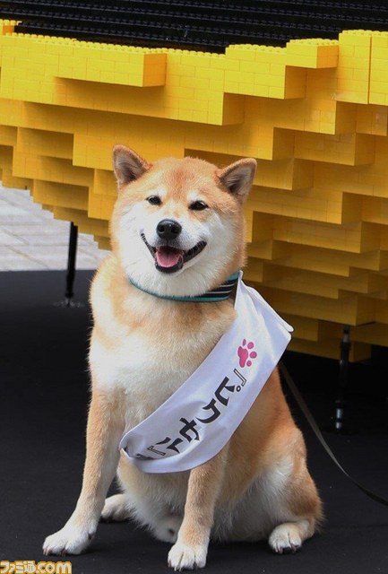 新宿のど真ん中に全長3mのパックマンが出現! 柴犬の“まる”が映画『ピクセル』の“宣伝ワン”に就任_05