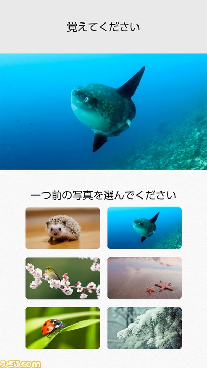 『脳トレ』シリーズ最新作がSwitchに登場! Joy-Conの“モーションIRカメラ”などを使ったSwitchならではの脳トレが可能に!_10