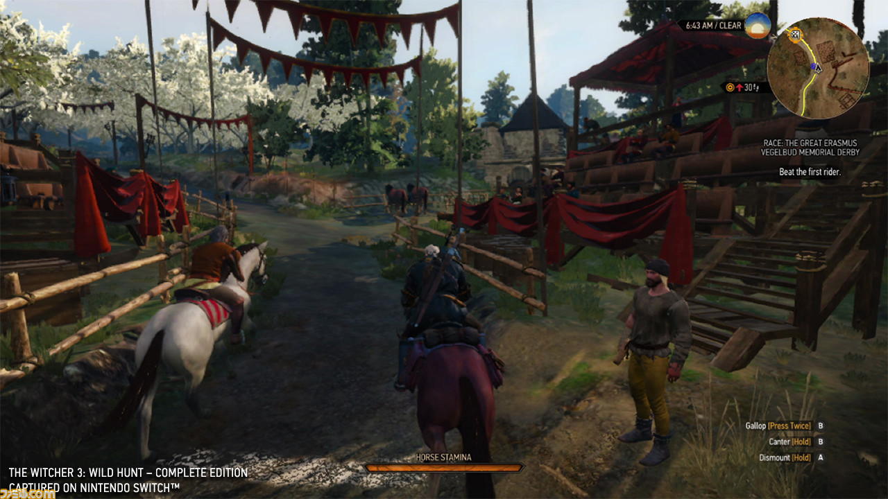 『ウィッチャー3』スイッチ版レビュー。気になる描画能力をチェック!_01