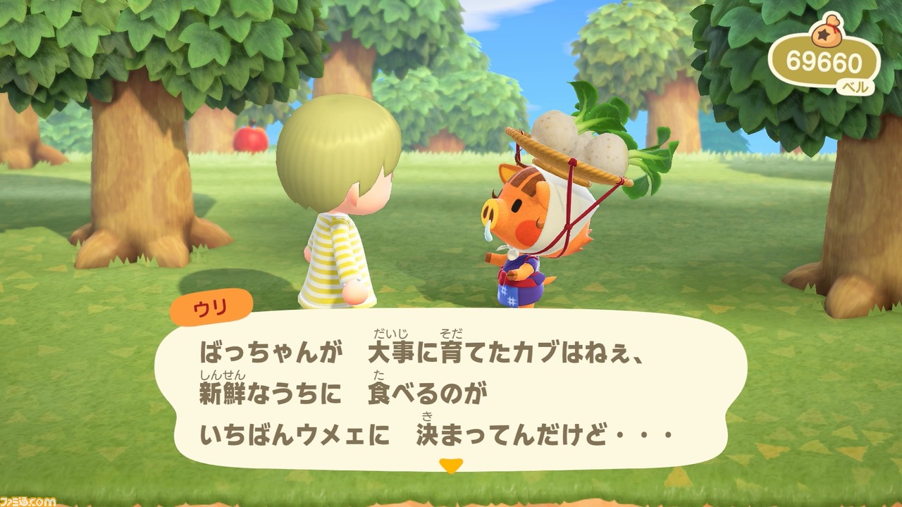 『あつまれ どうぶつの森』レビュー。3人の移住者による、三者三様の無人島ライフ体験談をお届け! _19