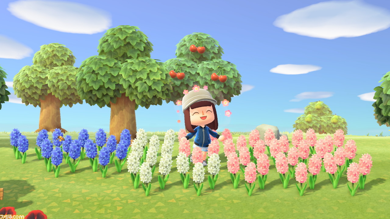 『あつまれ どうぶつの森』レビュー。3人の移住者による、三者三様の無人島ライフ体験談をお届け! _54