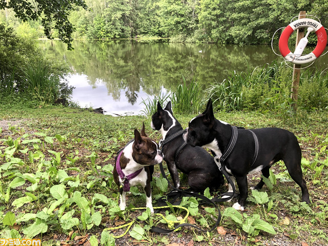 『バイオミュータント』クリエイティブ・ディレクターに聞く。“ケモノ系"にも“オープンワールド”にも“アクションRPG”なのにもちゃんと訳がある