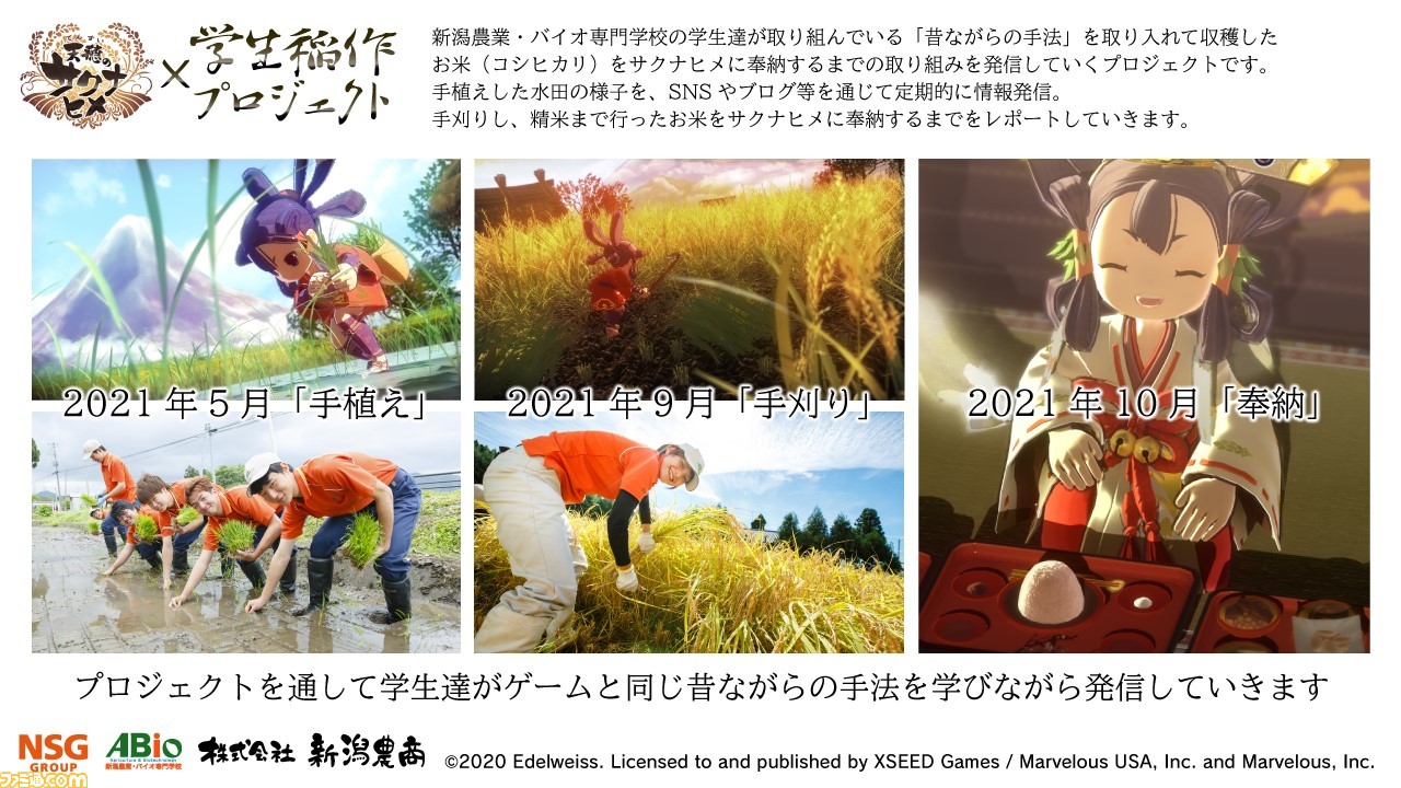 『天穂のサクナヒメ』×学生稲作プロジェクトが2021年5月に始動。ゲームと同じ手法で実際にお米を作ってみてのレポートが公開予定