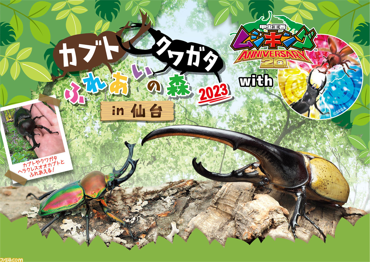 『ムシキング』カブト&クワガタふれあいイベントとのコラボが7月より開催。歴代カード展示や、ヘラクレスオオカブトとの特別ふれあいコーナーが登場