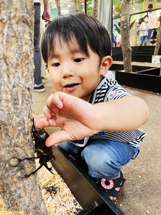 『ムシキング』カブト&クワガタふれあいイベントとのコラボが7月より開催。歴代カード展示や、ヘラクレスオオカブトとの特別ふれあいコーナーが登場